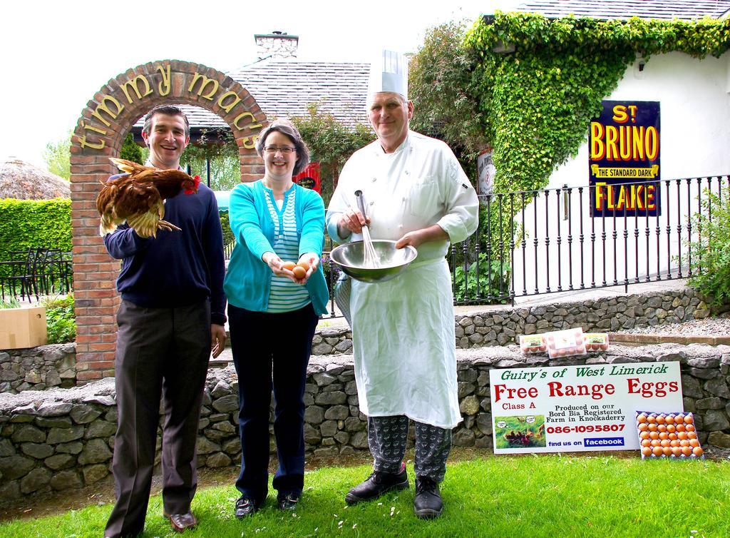 Fitzgeralds Woodlands House Hotel Adare Kültér fotó